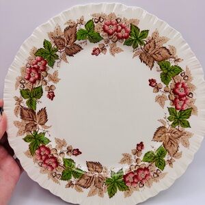 Wedgwood Wildbriar Rplacement Discontinued Dinner Plate-1plate